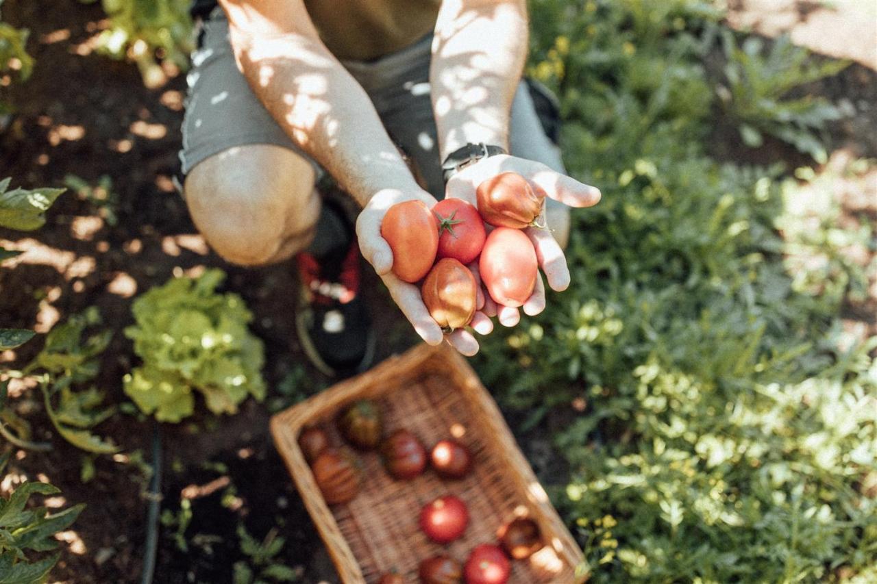Biohotel Theiner'S Garten Лана Екстериор снимка
