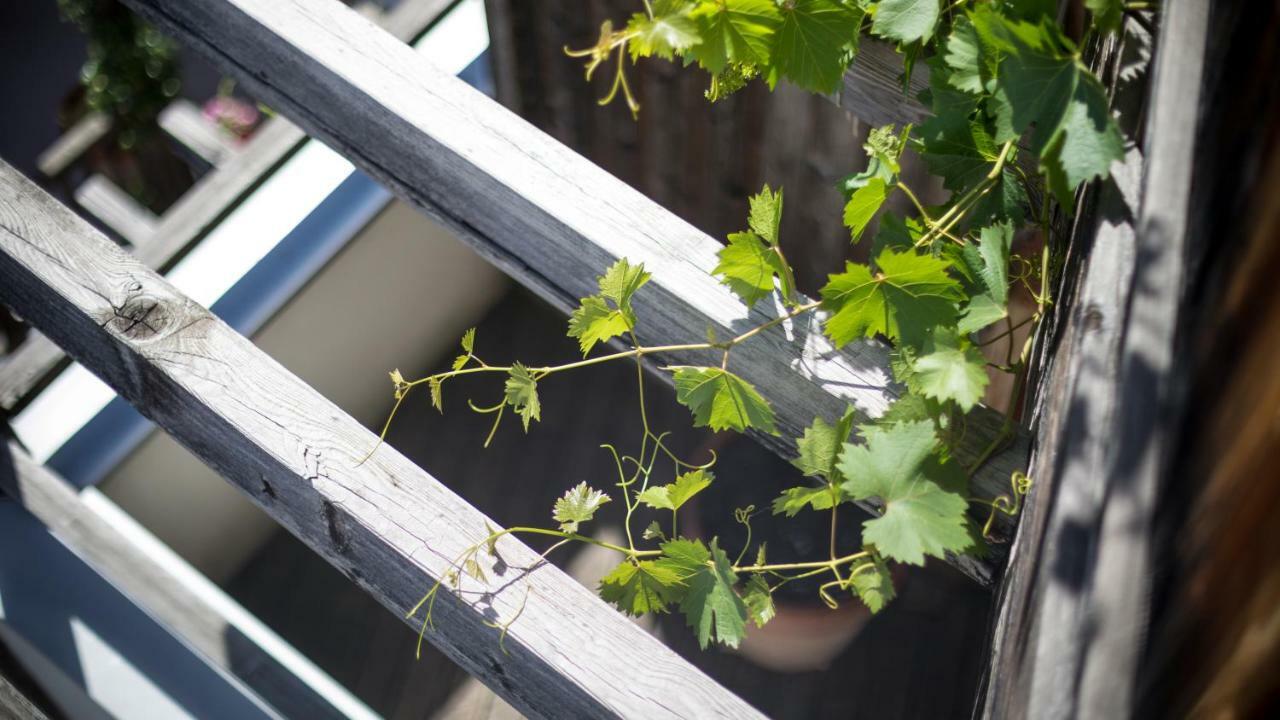 Biohotel Theiner'S Garten Лана Екстериор снимка